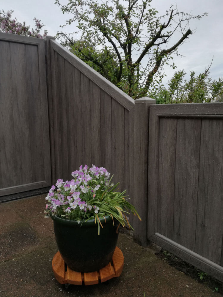 Kunststoff-Sichtschutz Serie 21 und 55 mit Dekor Monument OaK, dunkle Sichtschutzwände in Holzoptik an Gartenecke, davor grüner Blumentopf mit lila Blüten